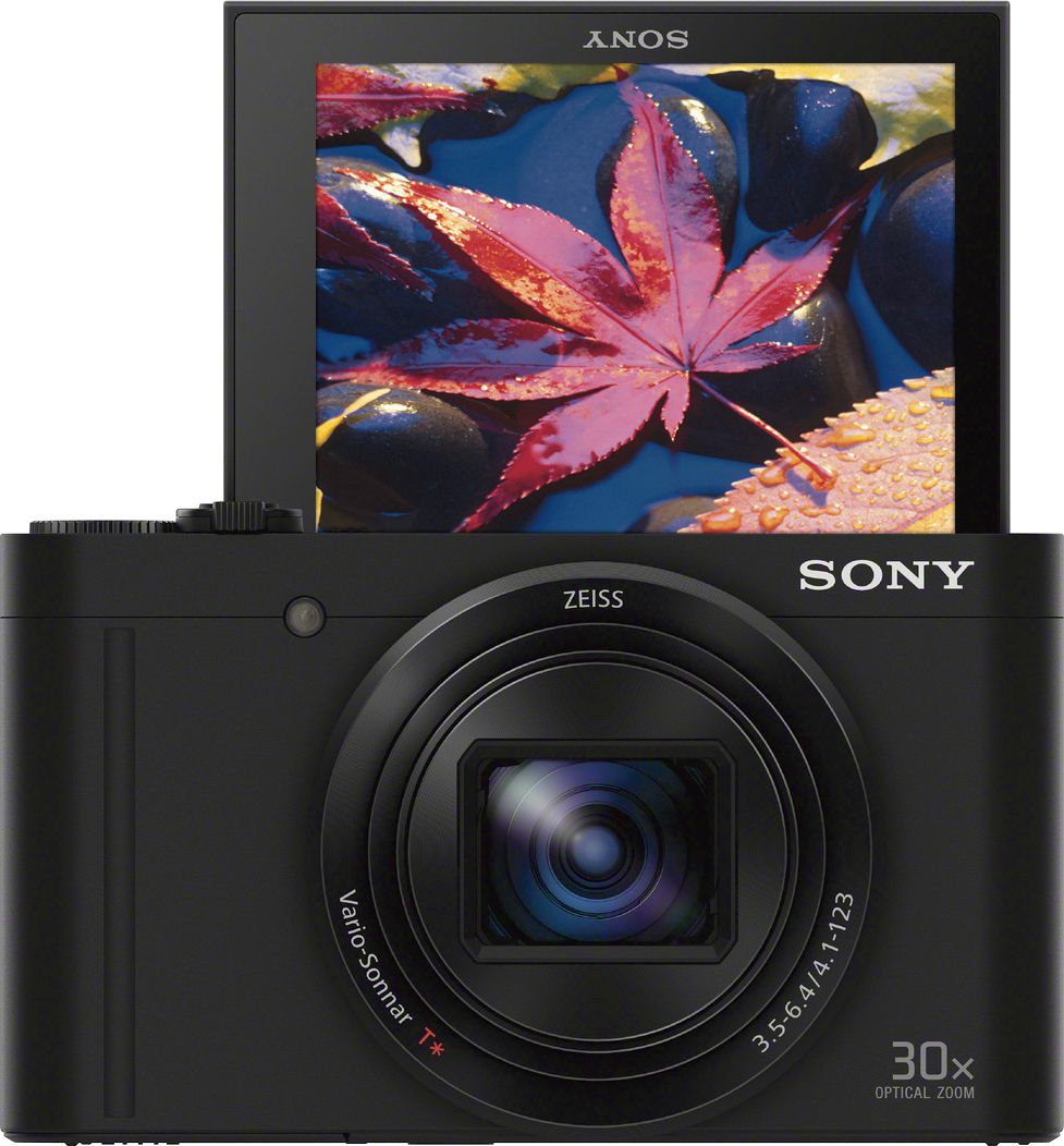 Best Buy: Sony DSC-WX500 18.2-Megapixel Digital Camera Black DSCWX500/B