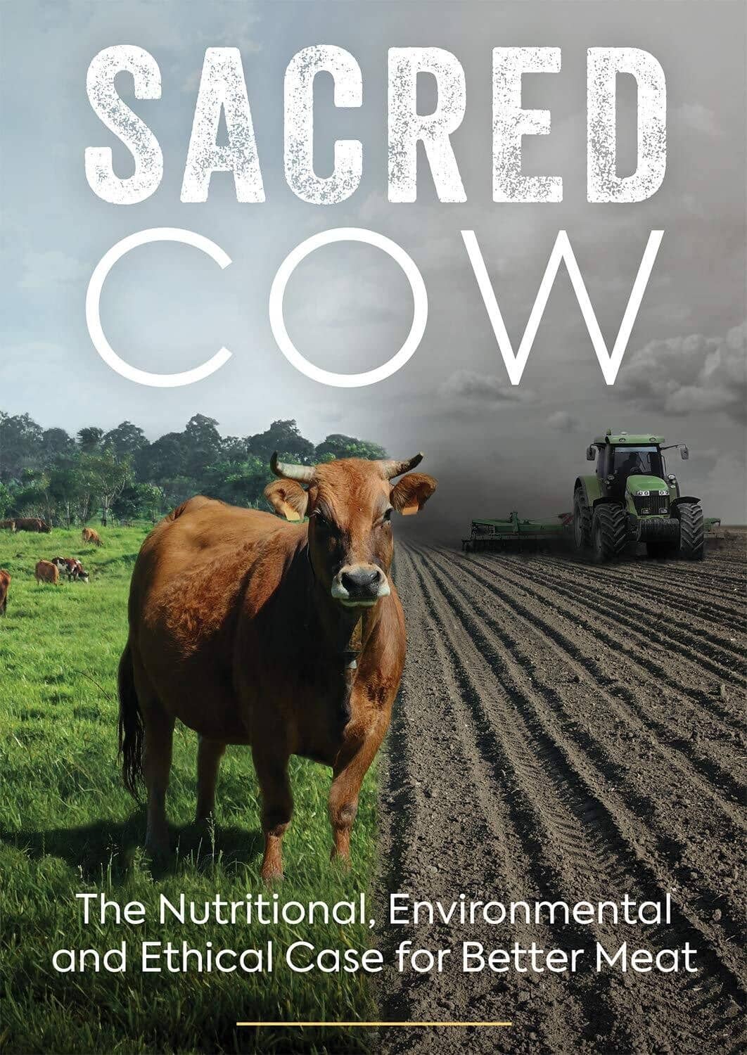 Sacred Cow  - DVD
