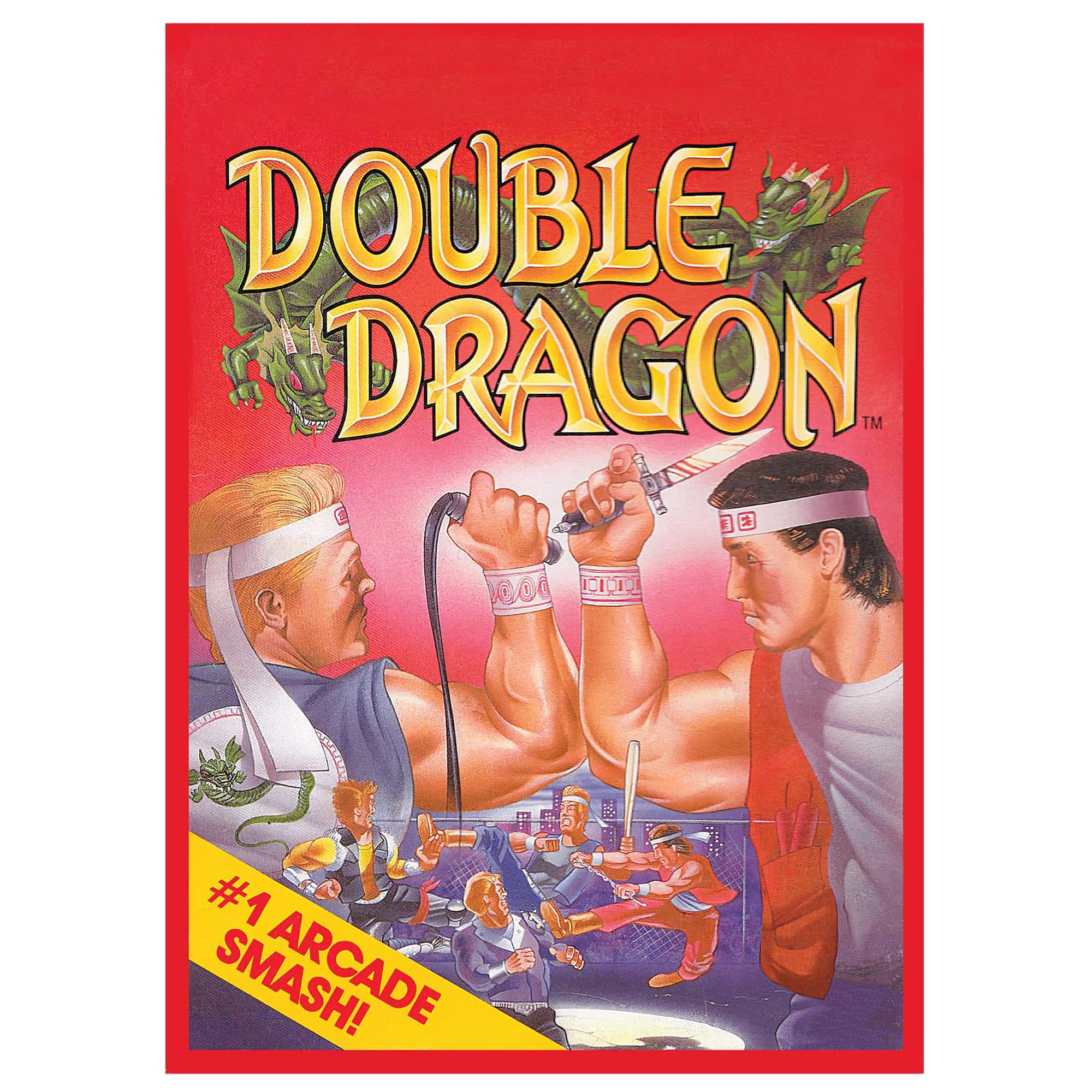 Double Dragon NES Cartridge 1000-Piece Jigsaw Puzzle | Toynk Exclusive - Multi-Color