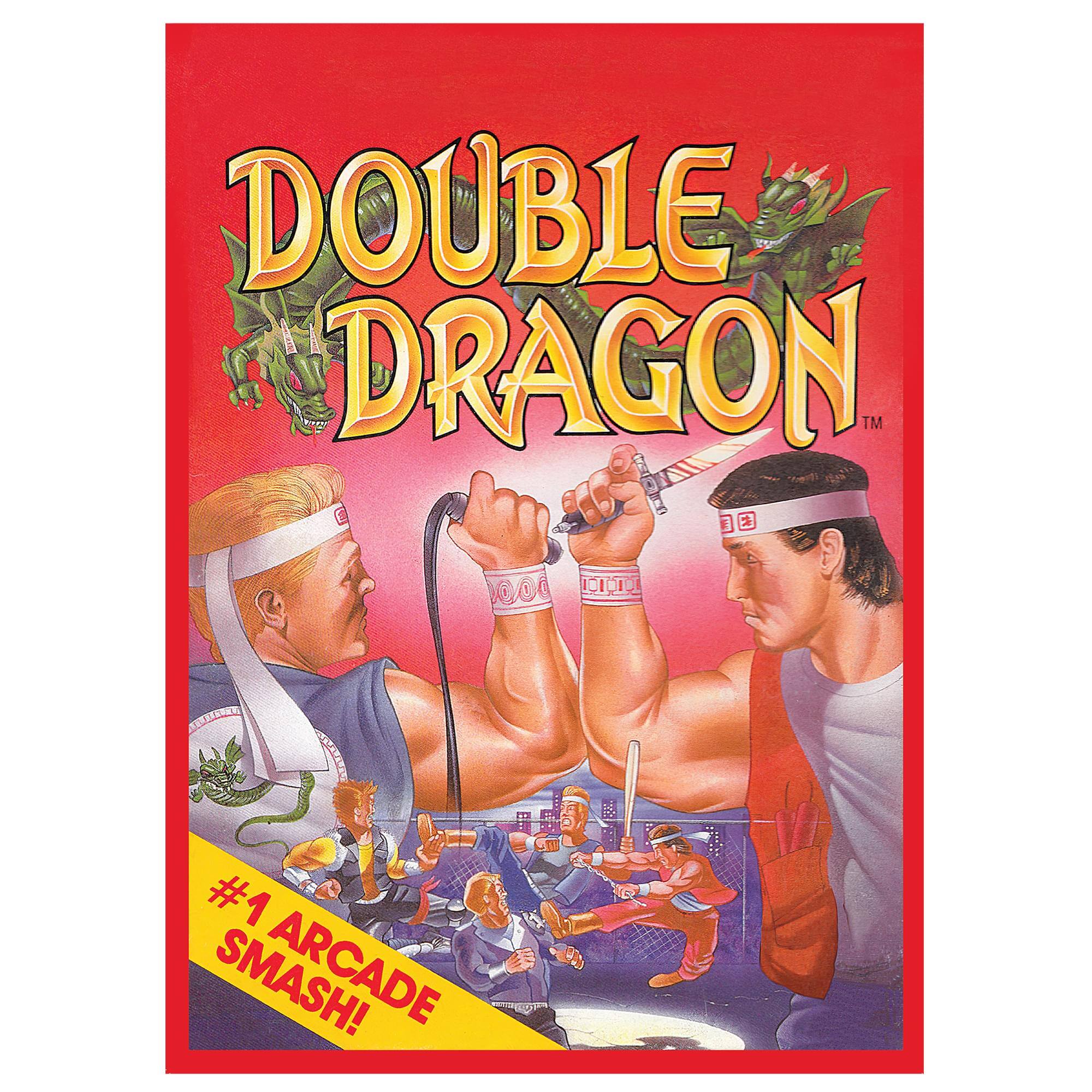 DOUBLE DRAGON™

#1 ARCADE SMASH!