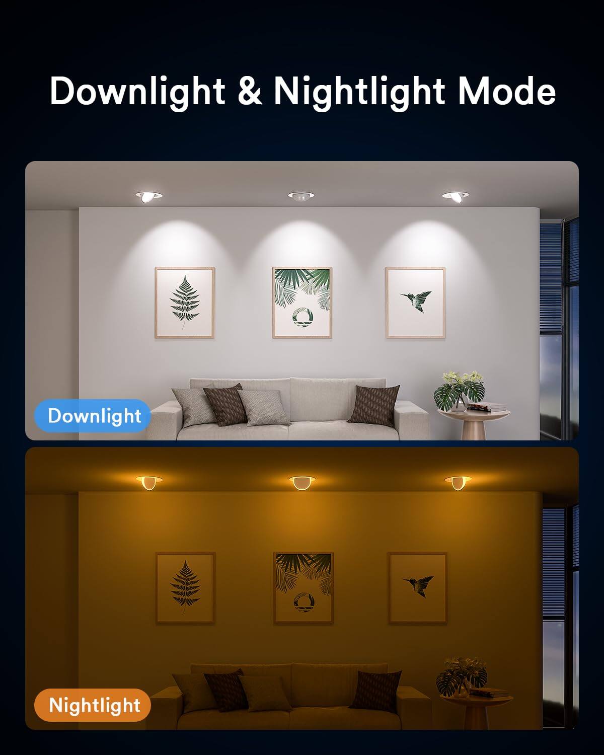 Downlight & Nightlight Mode

Downlight

Nightlight