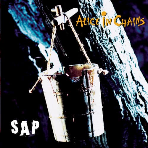 Alice in Chains  
SAP