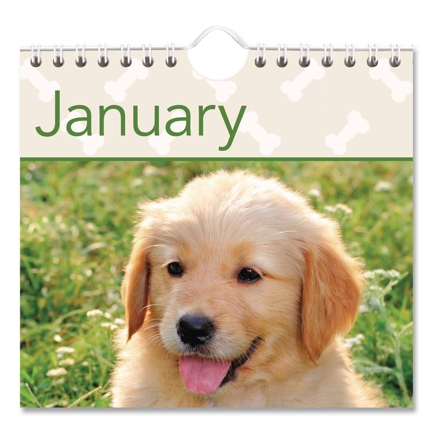 Back. AT-A-GLANCE - Puppies Monthly Wall Calendar Puppies Photography 15.5 x 22.75 White Multicolor Sheets 12 Month Jan to Dec 2026.