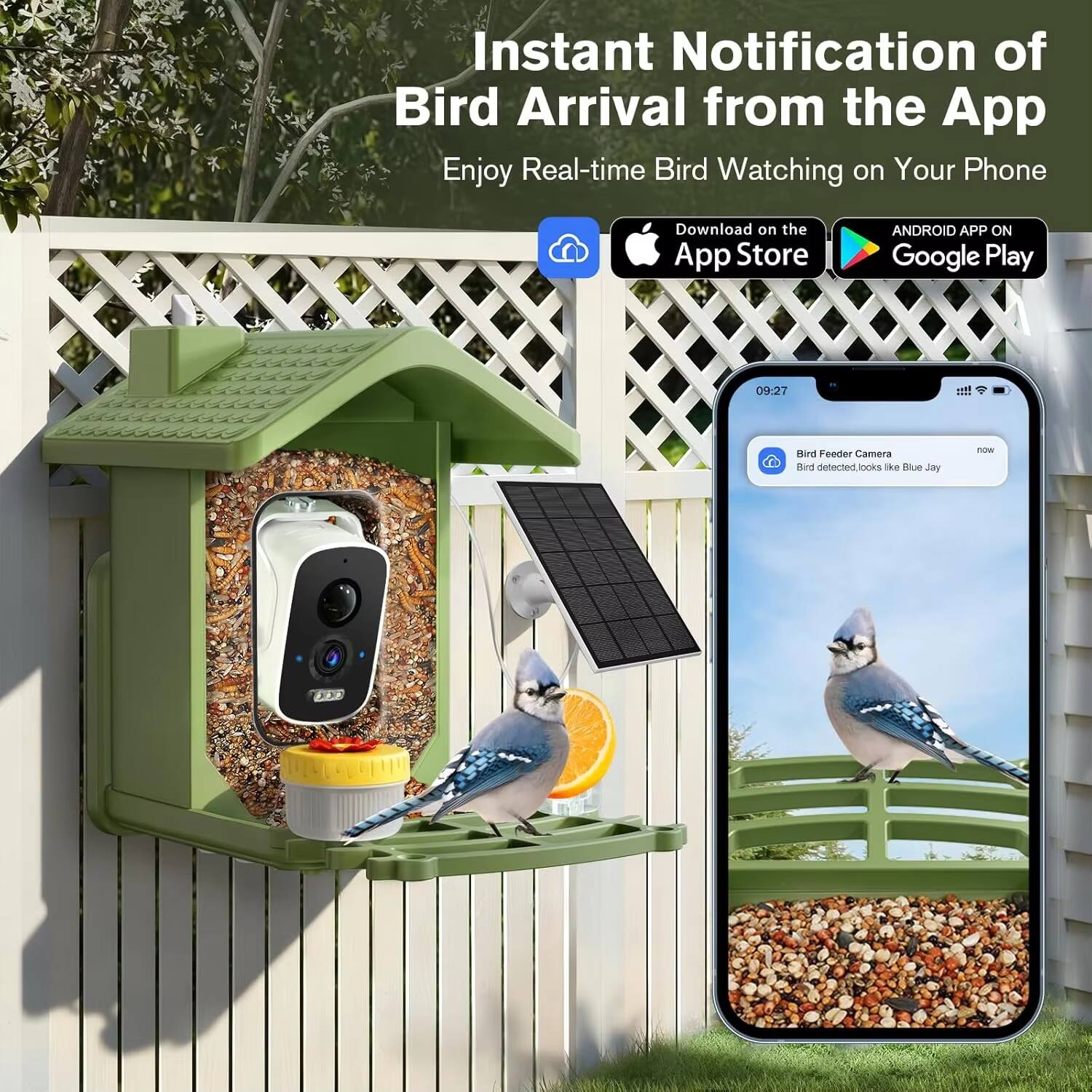 Instant Notification of Bird Arrival from the App  
Enjoy Real-time Bird Watching on Your Phone  

Download on the App Store  
ANDROID APP ON Google Play  

09:27  
Bird Feeder Camera  
Bird detected, looks like Blue Jay