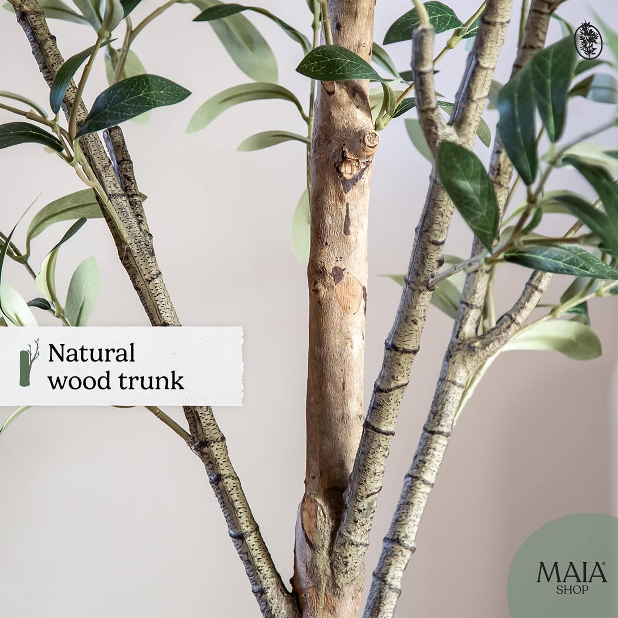 Natural wood trunk

MAIA SHOP