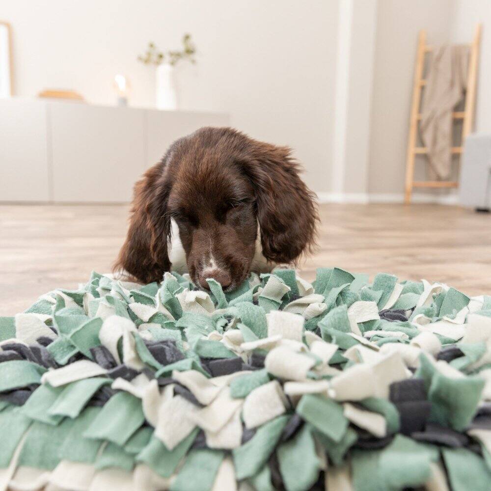 Angle. TRIXIE - Snuffle Mat for Dogs Level 1 Enrichment Puzzle for Dogs Slow Feeder - Green/Gray.