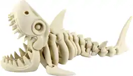 JuzToys - 3D Printed Skeleton Megalodon, Prehistoric Collectible Articulating Dinosaur Figurine Desk Decoration by PowerTRC - White