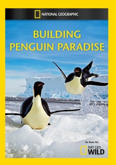 Building Penguin Paradise - DVD