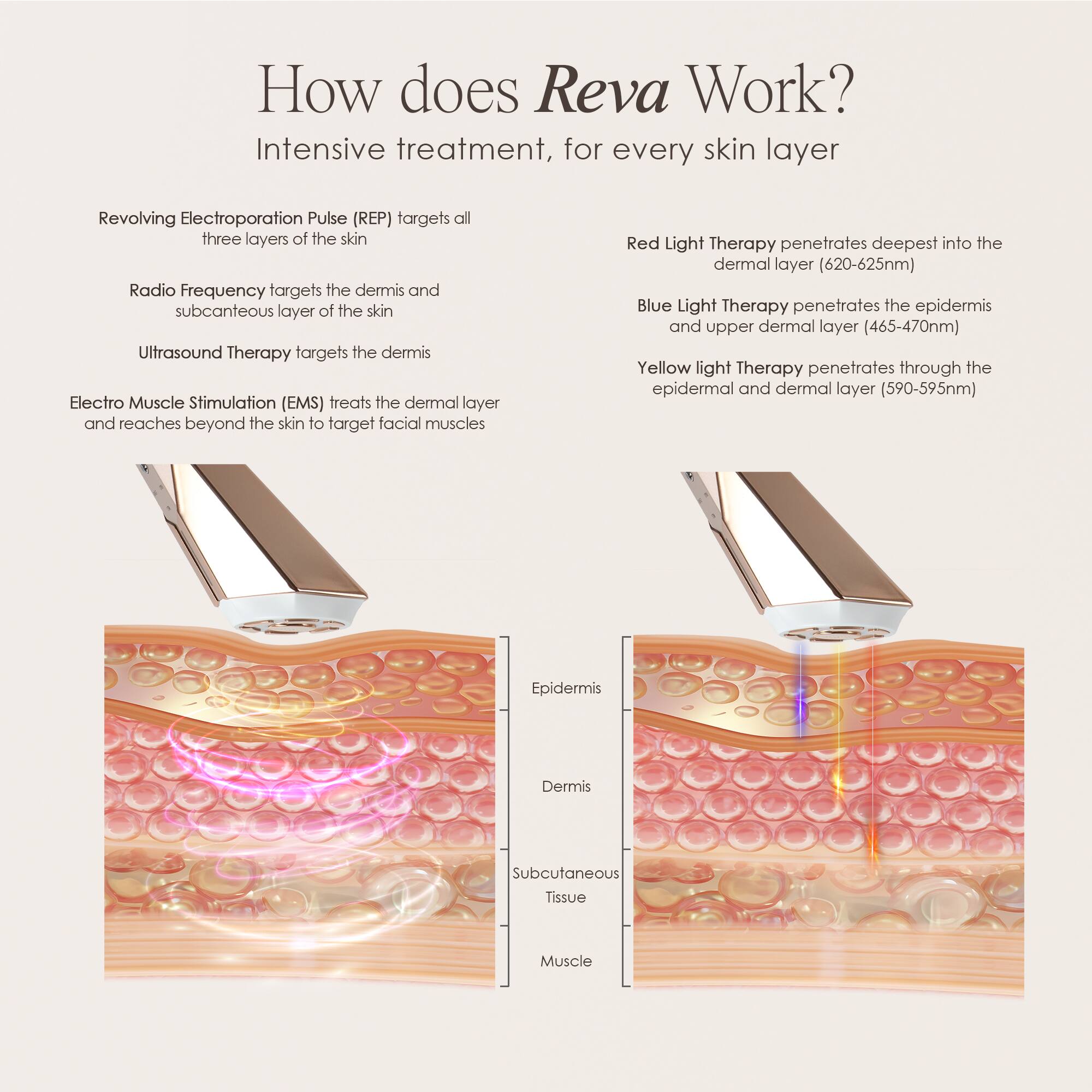 How does Reva Work? Intensive treatment, for every skin layer

Revolving Electroporation Pulse (REP) targets all three layers of the skin

Radio Frequency targets the dermis and subcutaneous layer of the skin

Ultrasound Therapy targets the dermis

Electro Muscle Stimulation (EMS) treats the dermal layer and reaches beyond the skin to target facial muscles

Red Light Therapy penetrates deepest into the dermal layer (620-625nm)

Blue Light Therapy penetrates the epidermis and upper dermal layer (465-470nm)

Yellow Light Therapy penetrates through the epidermal and dermal layer (590-595nm)

Epidermis

Dermis

Subcutaneous Tissue

Muscle