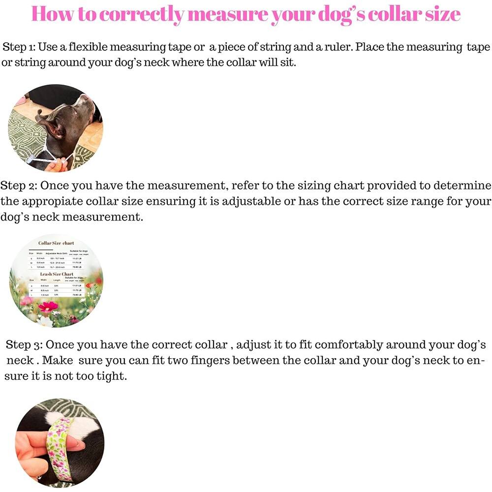 How to correctly measure your dog's collar size

Step 1: Use a flexible measuring tape or a piece of string and a ruler. Place the measuring tape or string around your dog's neck where the collar will sit.

Step 2: Once you have the measurement, refer to the sizing chart provided to determine the appropriate collar size ensuring it is adjustable or has the correct size range for your dog's neck measurement.

Step 3: Once you have the correct collar, adjust it to fit comfortably around your dog's neck. Make sure you can fit two fingers between the collar and your dog's neck to ensure it is not too tight.