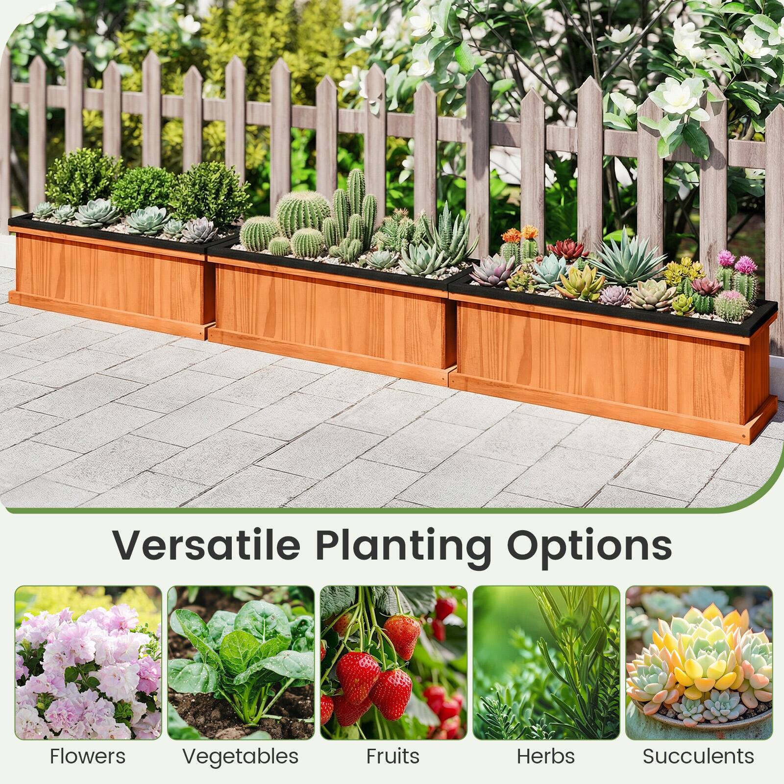 Versatile Planting Options

- Flowers
- Vegetables
- Fruits
- Herbs
- Succulents