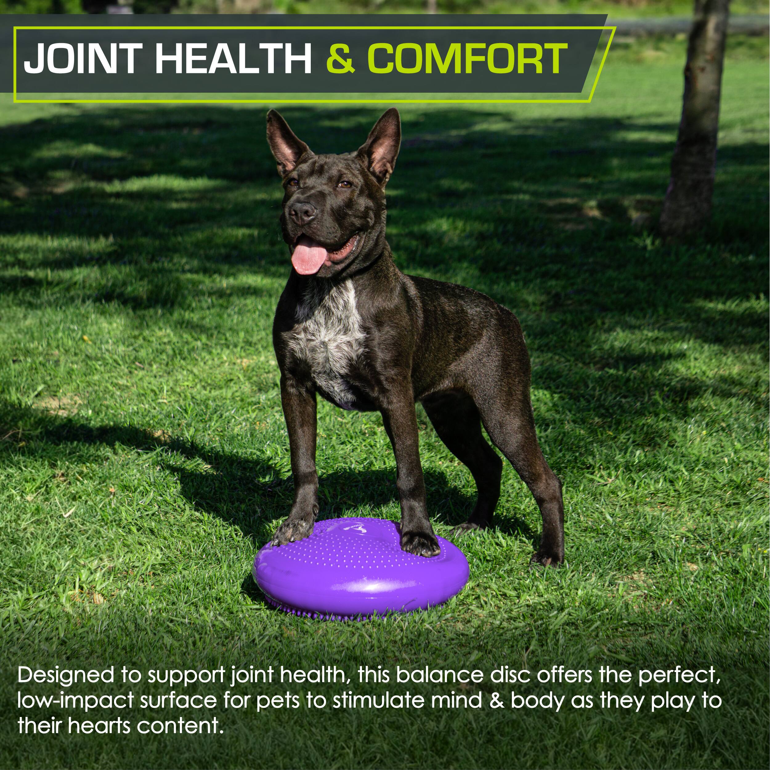 JOINT HEALTH & COMFORT

A Designed to support joint health, this balance disc offers the perfect, low-impact surface for pets to stimulate mind & body as they play to their hearts content.