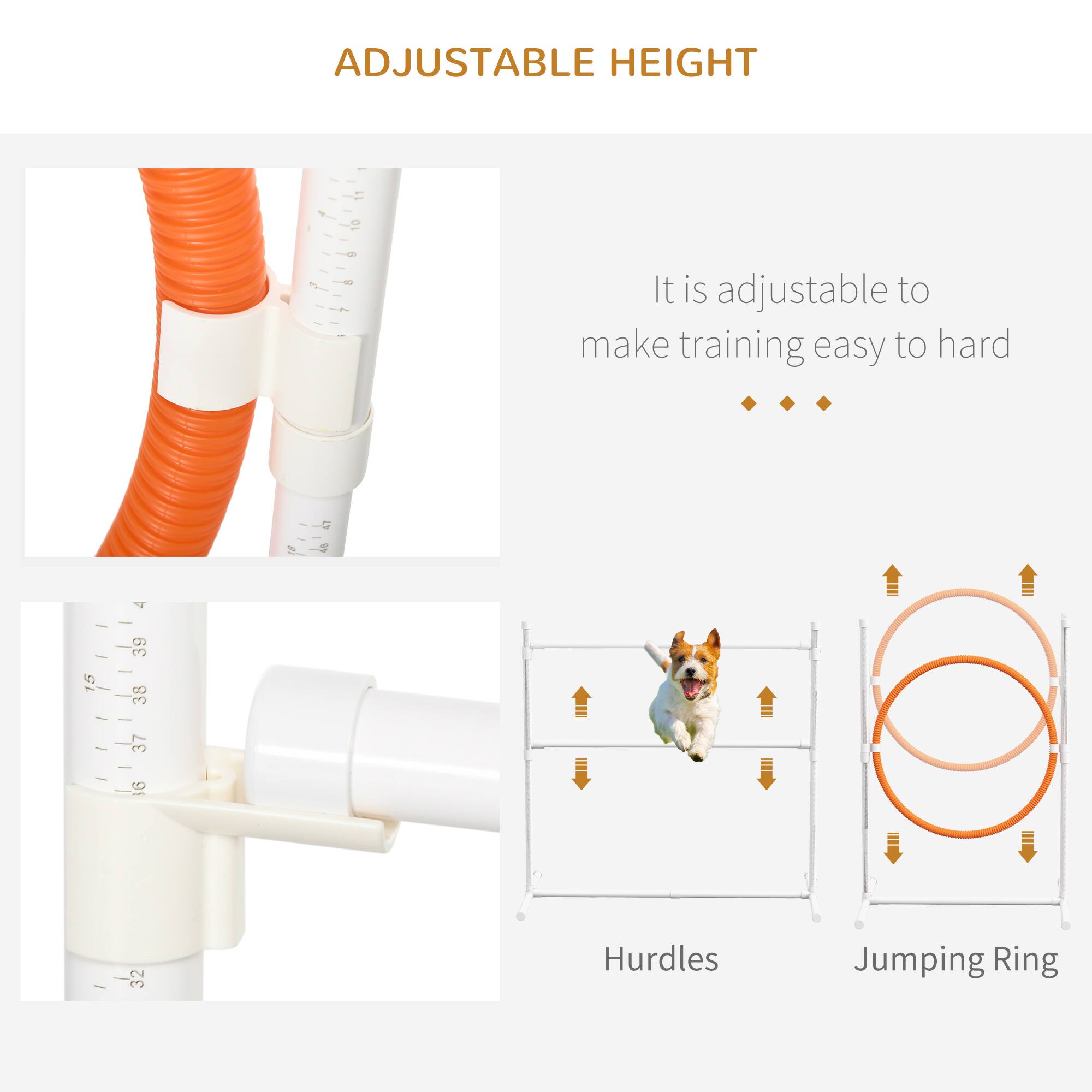 ADJUSTABLE HEIGHT

It is adjustable to make training easy to hard

Hurdles Jumping Ring