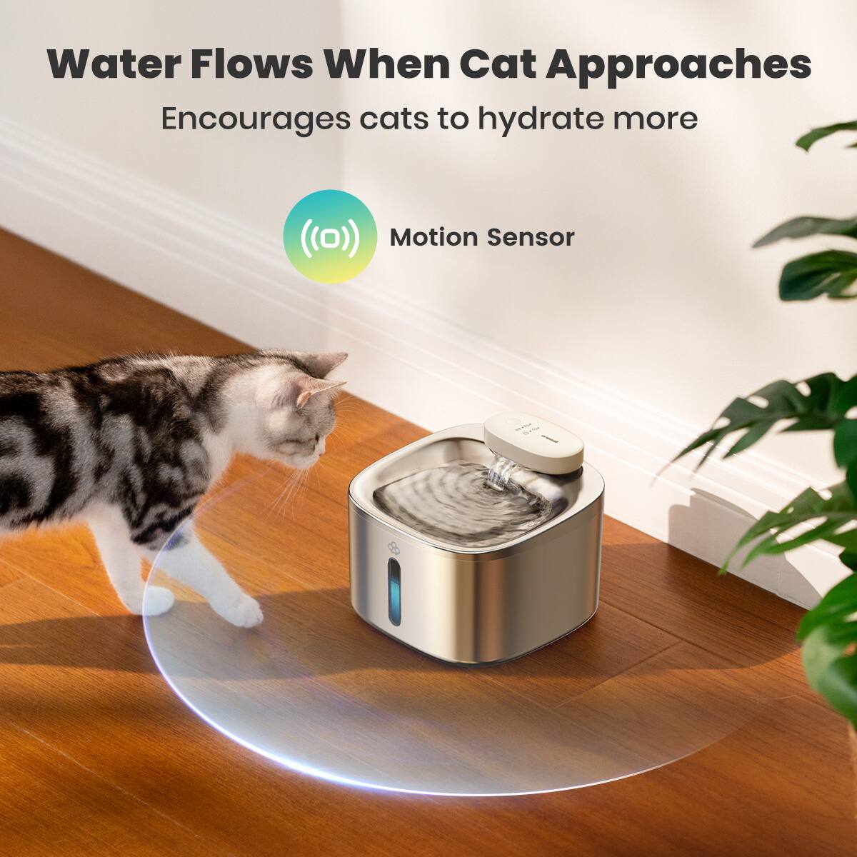 Water Flows When Cat Approaches Encourages cats to hydrate more Motion Sensor