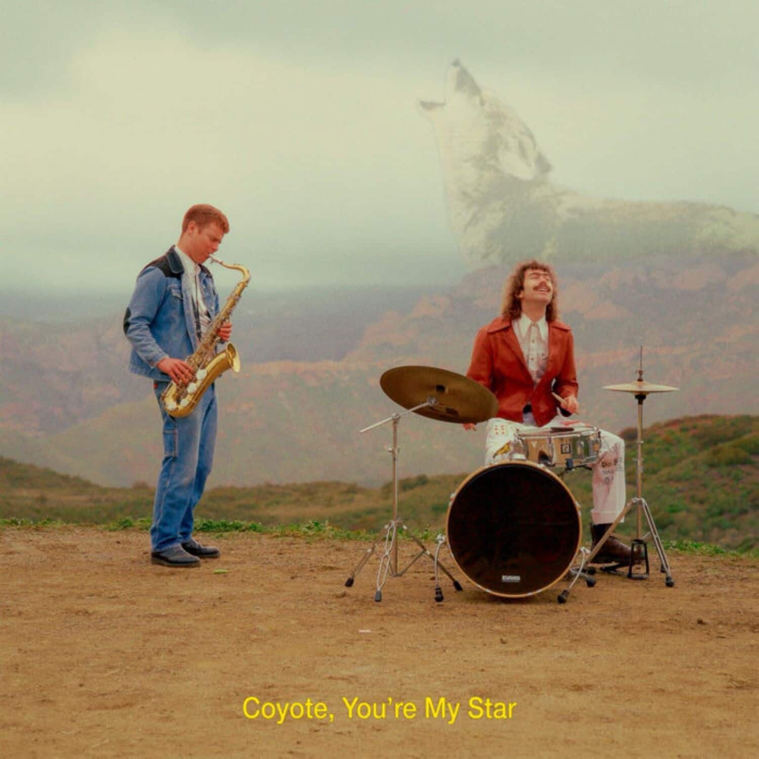 Dana & Alden - Coyote, You're My Star - Brown  - VINYL LP