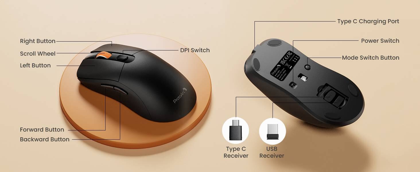Type C Charging Port  
Right Button  
Scroll Wheel  
Left Button  
DPI Switch  
Power Switch  
Mode Switch Button  
Forward Button  
Backward Button  
Type C USB Receiver
