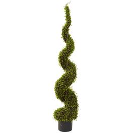 BreeBe - 4' Mohlenbechia Spiral Tree - Green