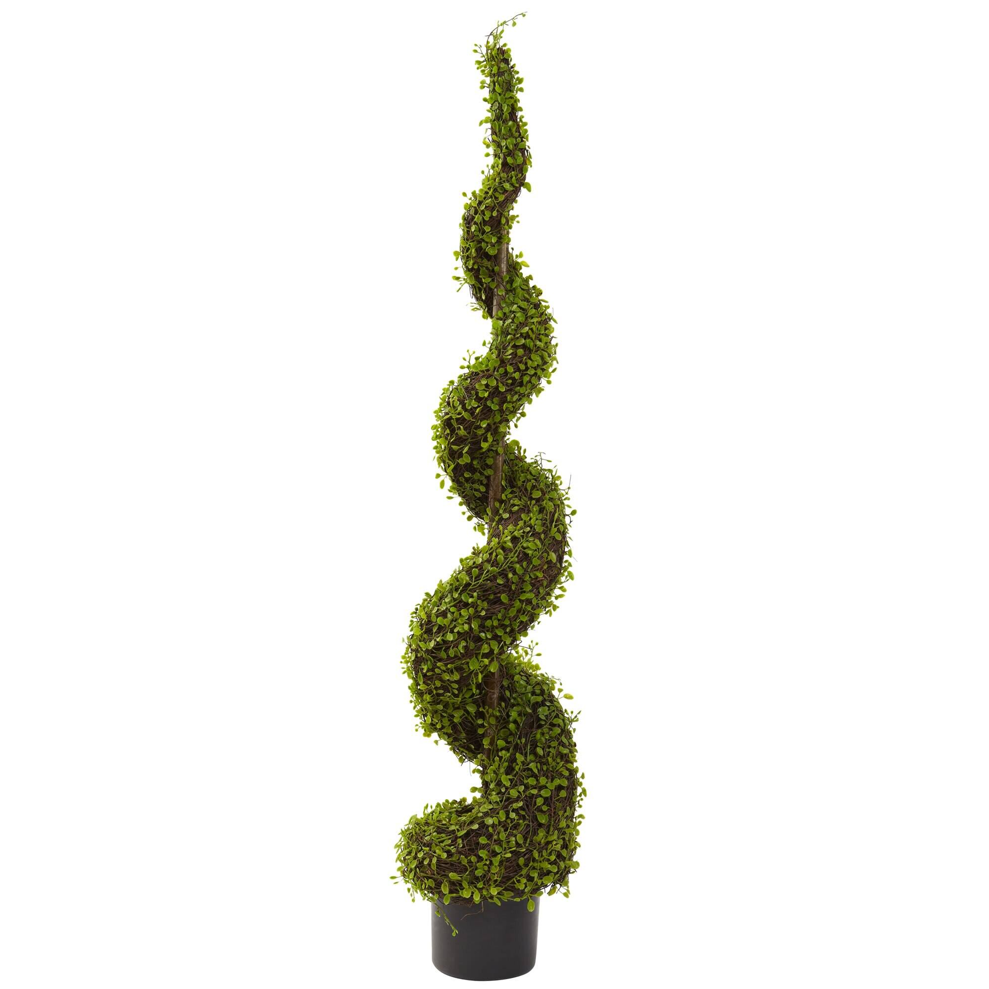 Front. BreeBe - 4' Mohlenbechia Spiral Tree - Green.
