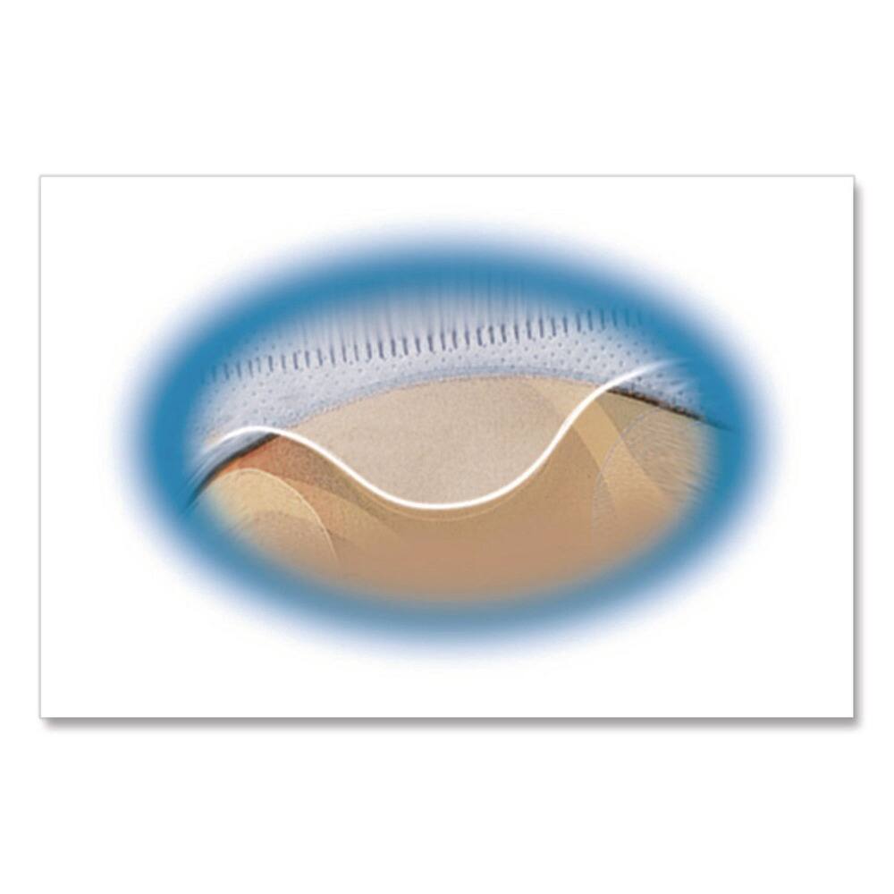 Left. Avery - Avery 75263 4-Disc Capacity 2-Sided CD Organizer Sheets for 3-Ring Binder - Clear (5/Pack) - Clear.