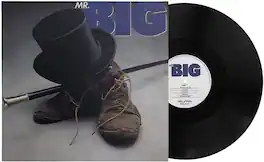 Mr Big - Mr Big - VINYL LP