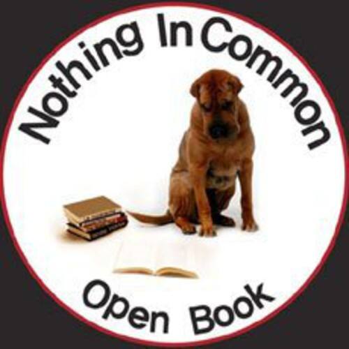 Nothing In Common  
Open Book
