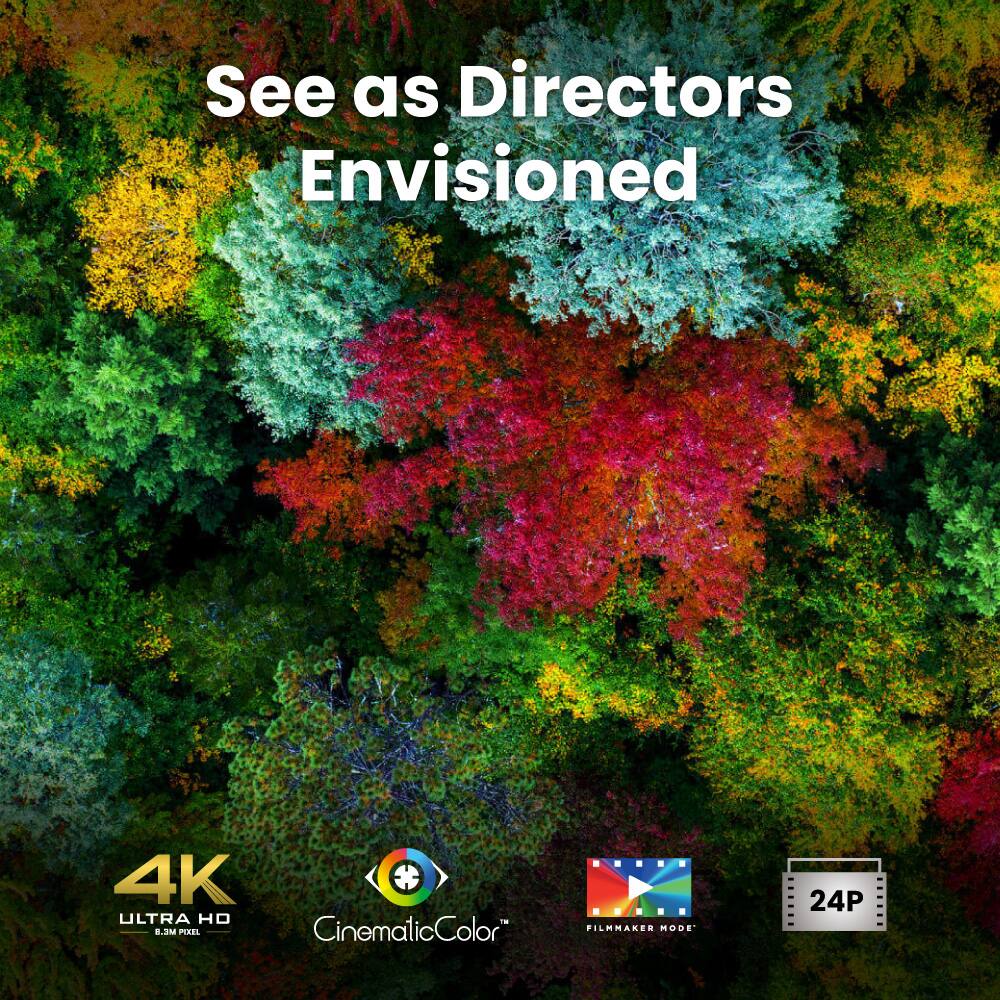 See as Directors Envisioned

4K ULTRA HD  
CinematicColor  
FILMMAKER MODE  
24P