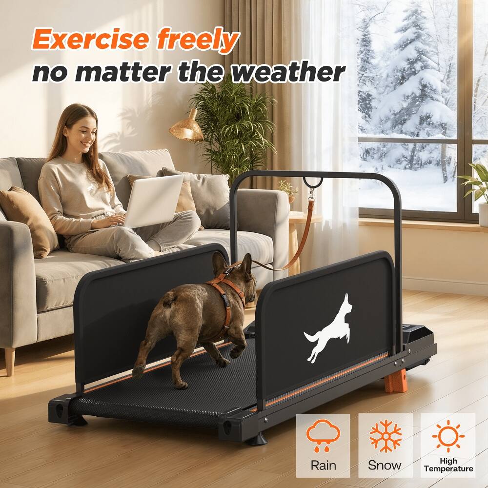 Exercise freely no matter the weather

Rain Snow High Temperature