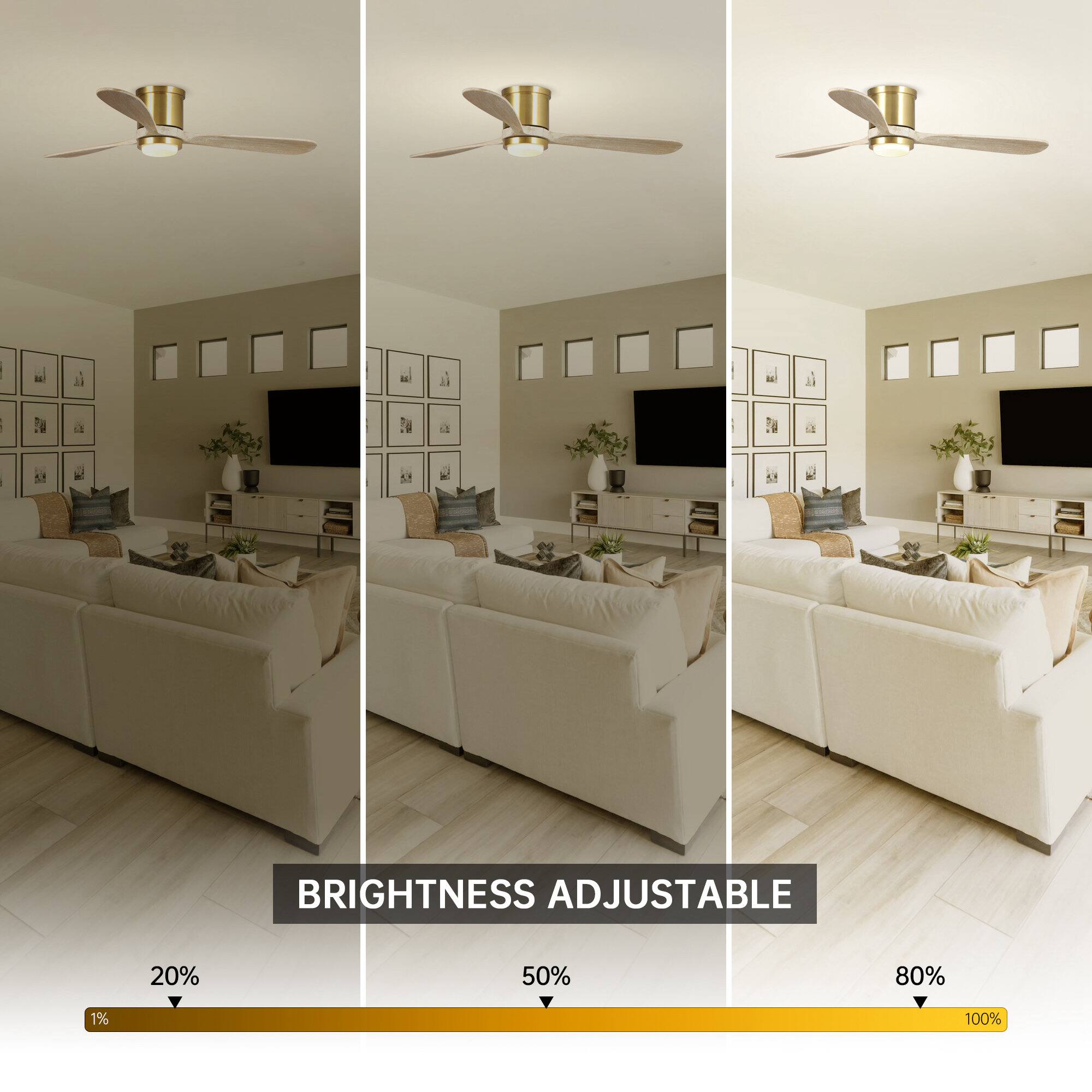 BRIGHTNESS ADJUSTABLE

1% 20% 50% 80% 100%