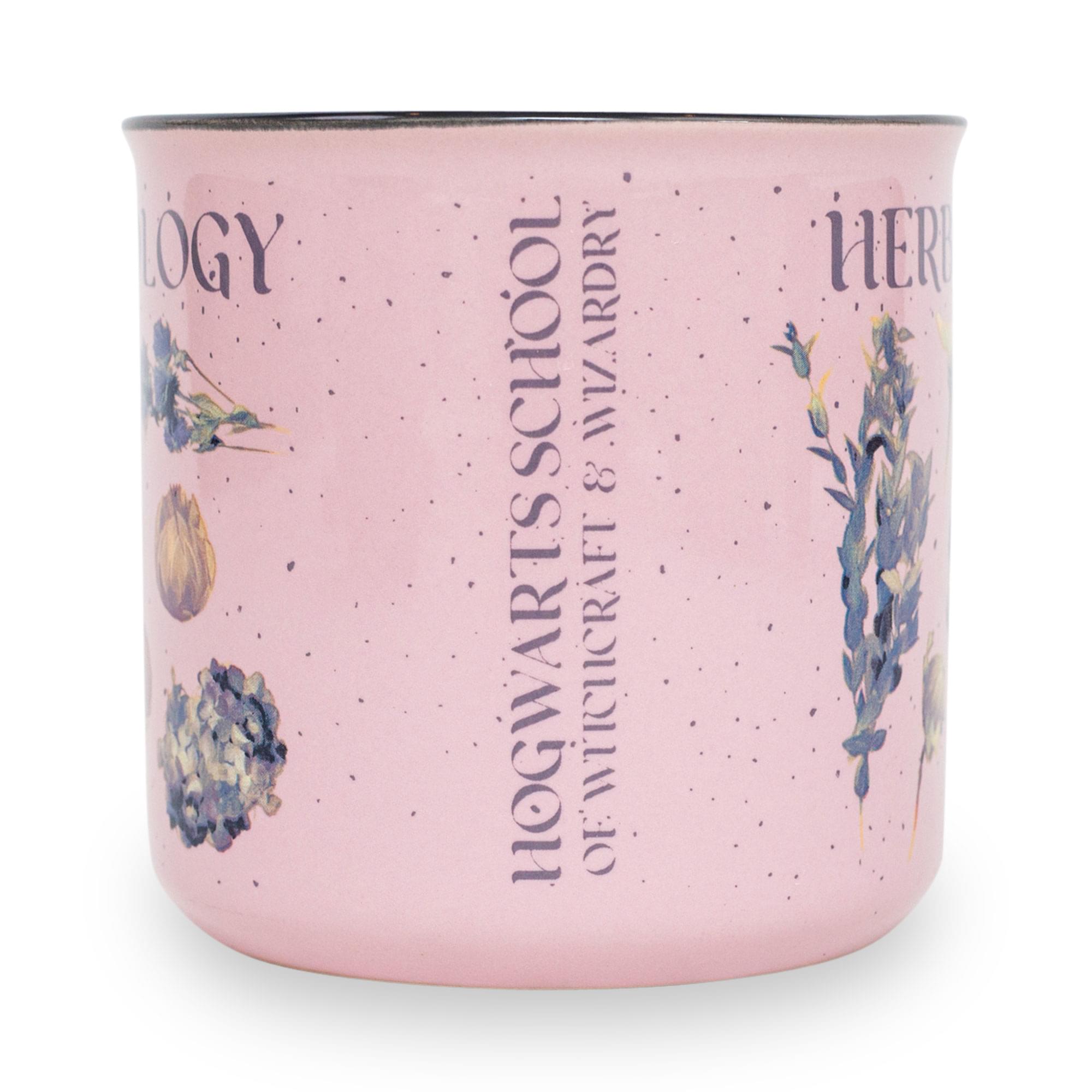 HOGWARTS SCHOOL OF WITCHCRAFT & WIZARDRY