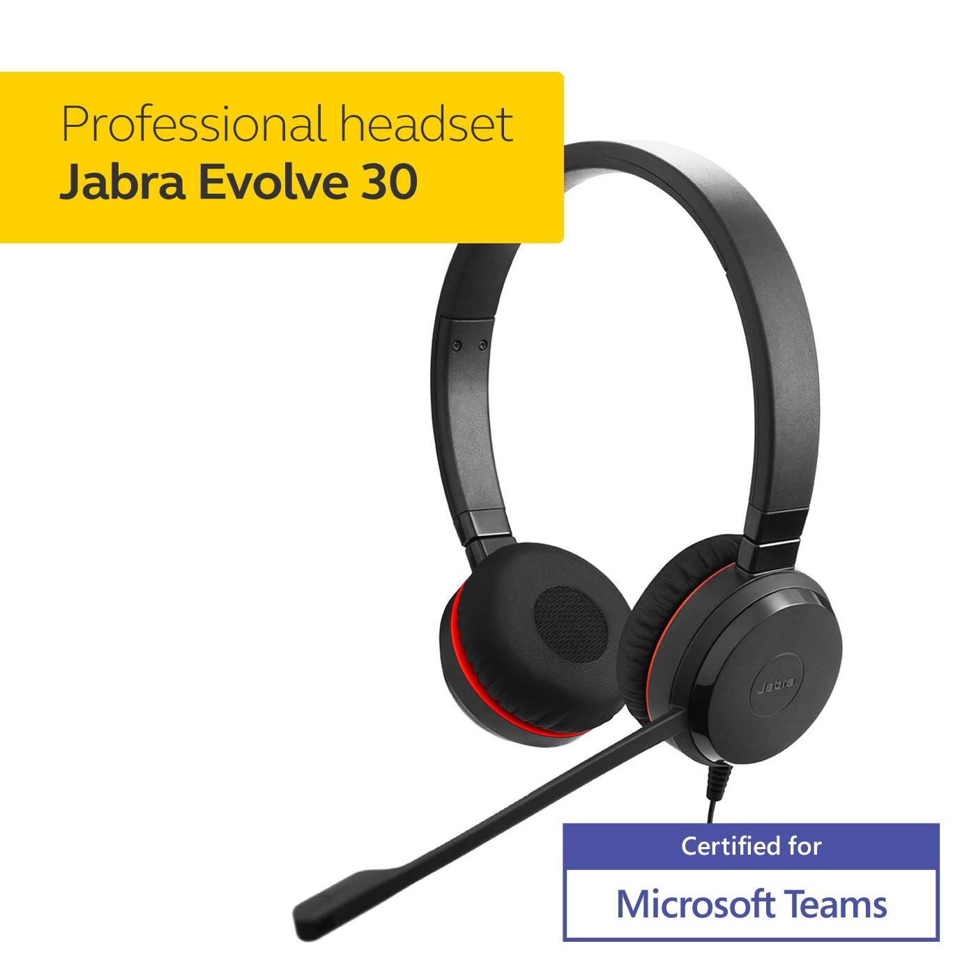 Professional headset  
Jabra Evolve 30  
Certified for Microsoft Teams