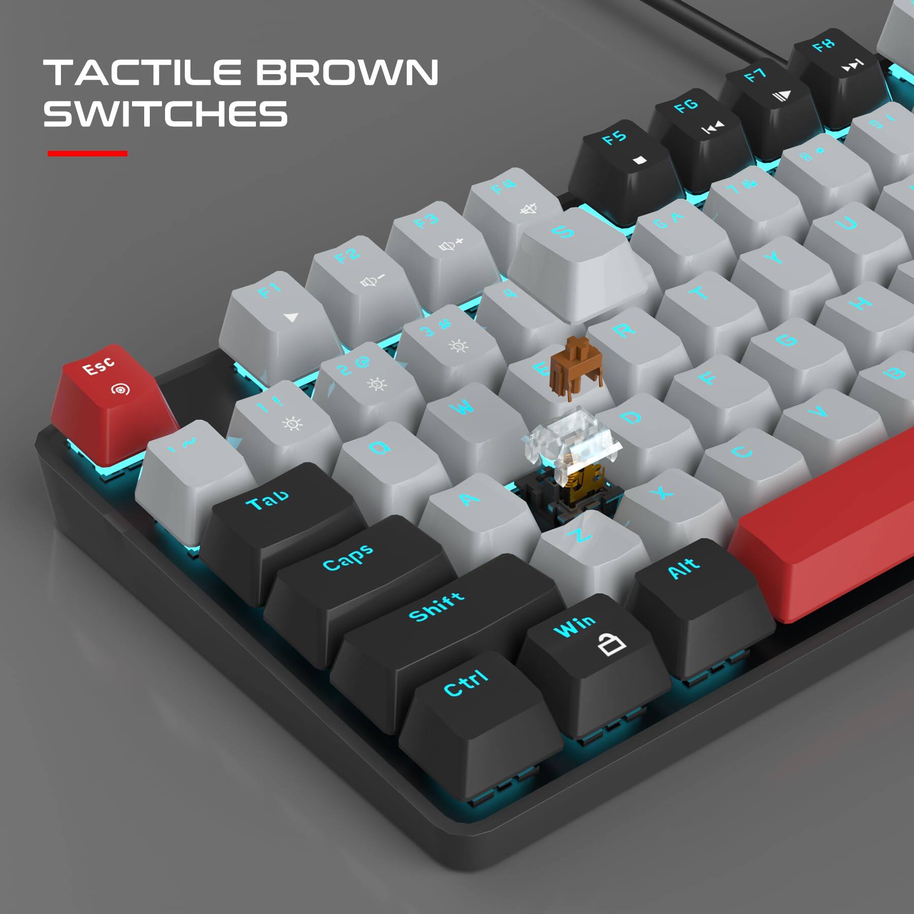 TACTILE BROWN SWITCHES

Esc F1 F2 F3 F4 F5 F6 F7 F8 F9 F10 F11 F12

1 2 3 4 5 6 7 8 9 0 - = Backspace

Tab Q W E R T Y U I O P [ ] \

Caps A S D F G H J K L ; ' Enter

Shift Z X C V B N M , . / Shift

Ctrl Alt Win