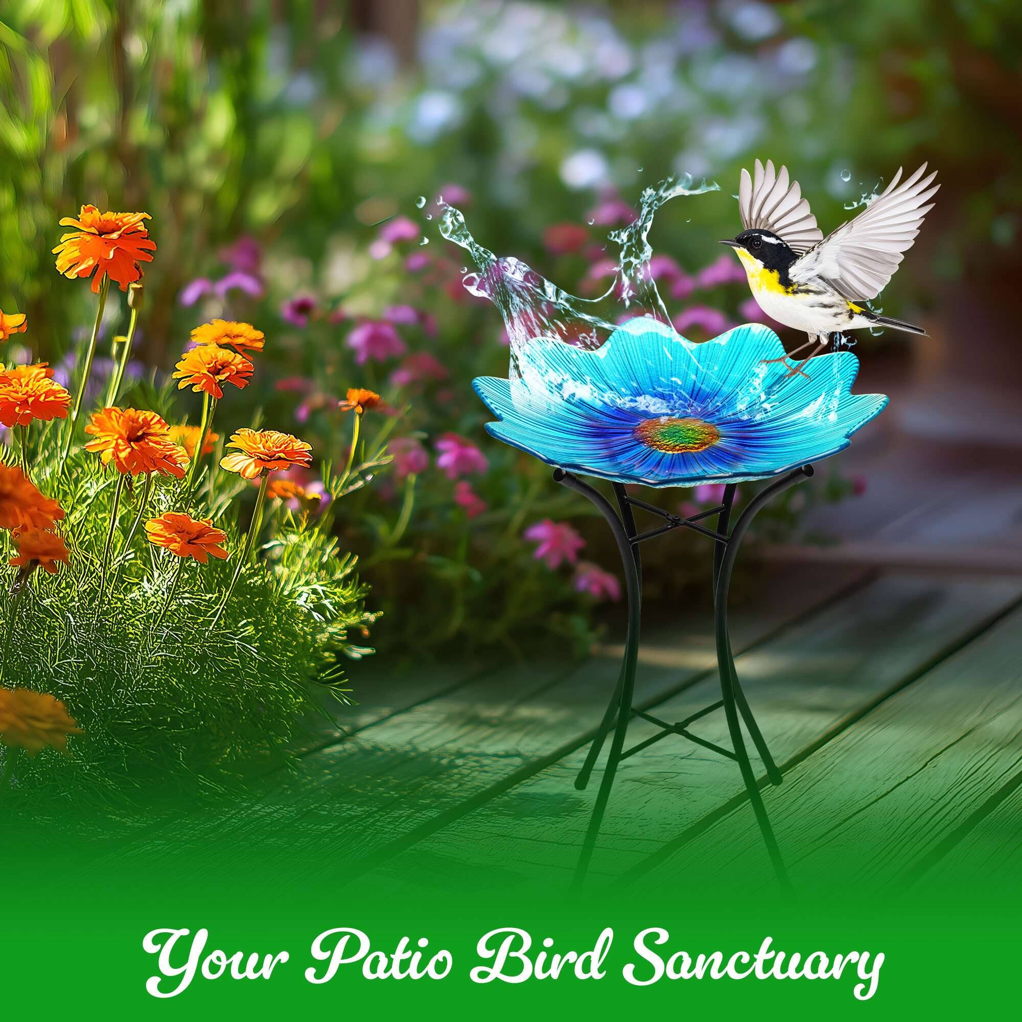 Your Patio Bird Sanctuary