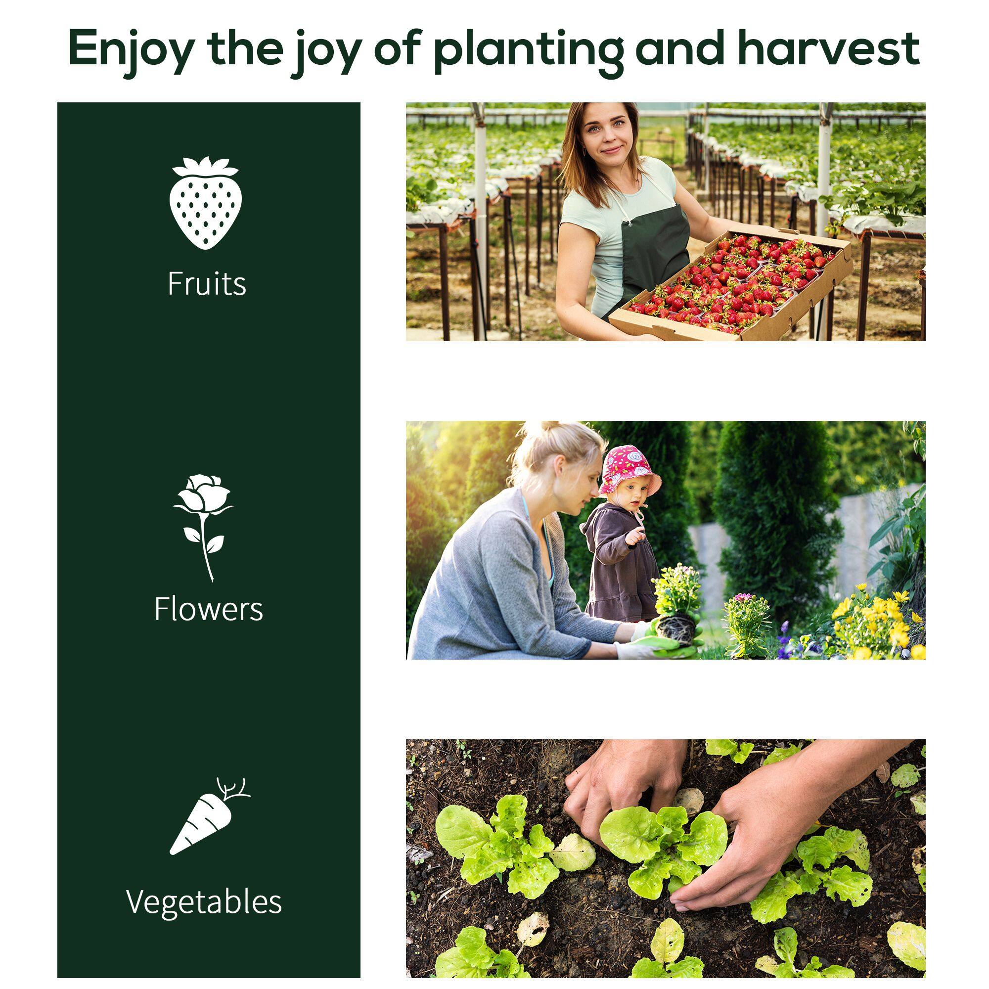 Enjoy the joy of planting and harvest

Fruits
Flowers
Vegetables