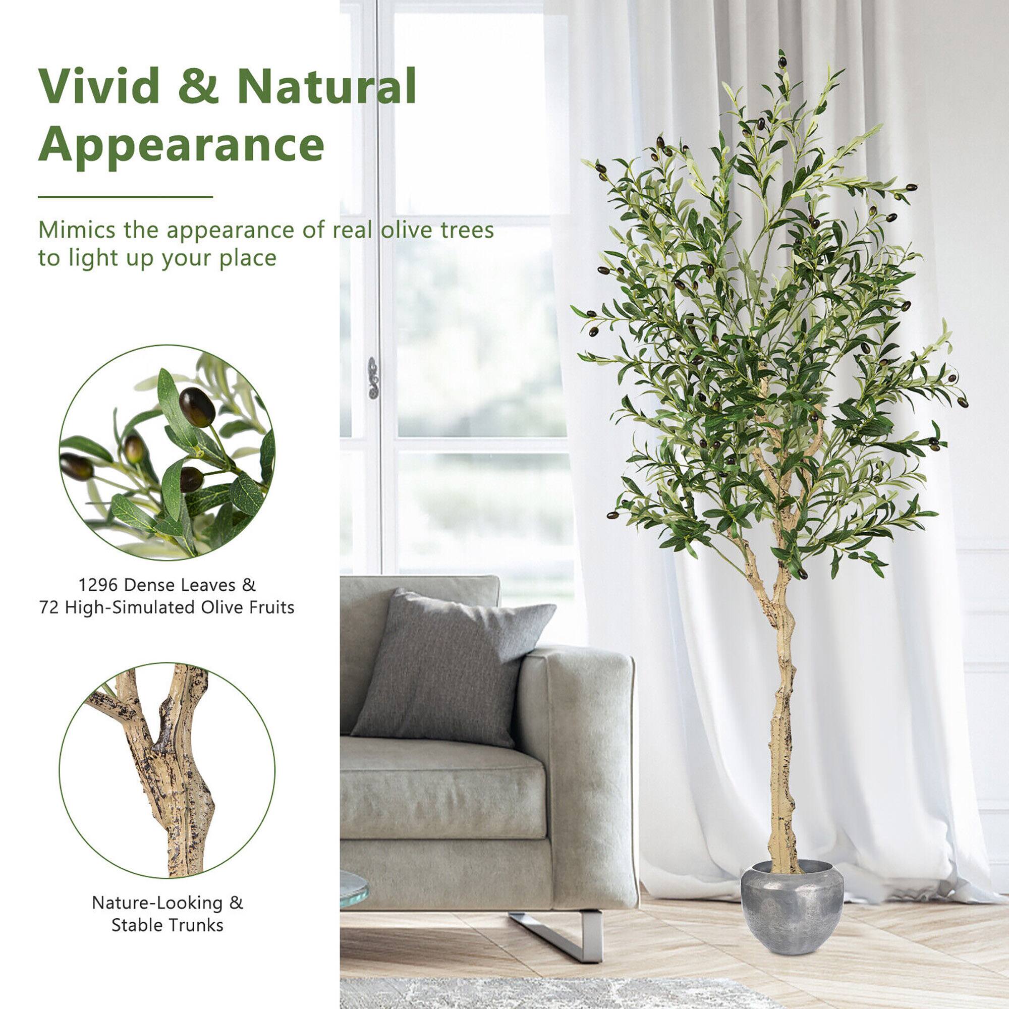 Vivid & Natural Appearance

Mimics the appearance of real olive trees to light up your place

1296 Dense Leaves & 72 High-Simulated Olive Fruits

Nature-Looking & Stable Trunks