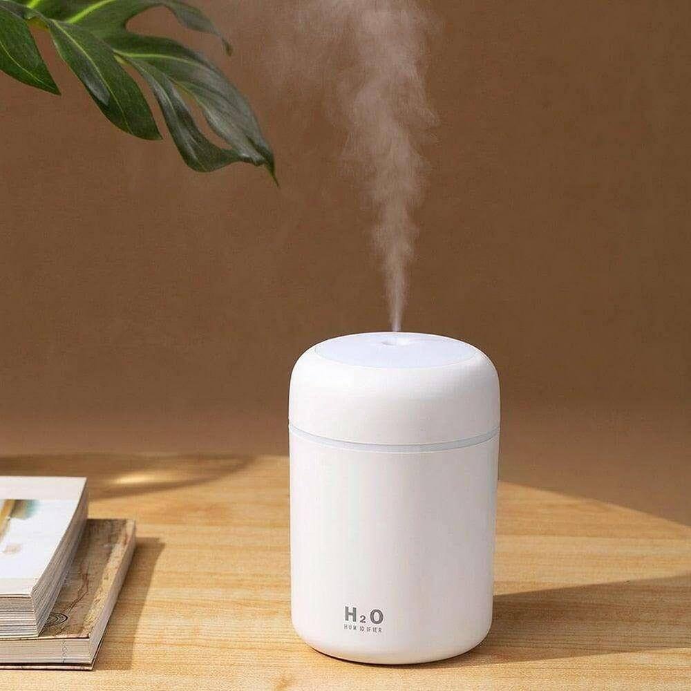 H2O  
HUMIDIFIER