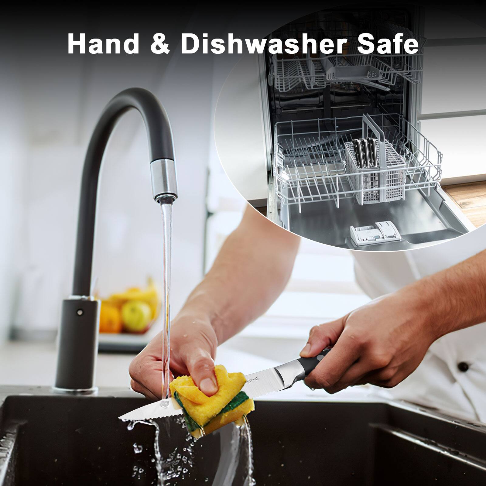 Hand & Dishwasher Safe