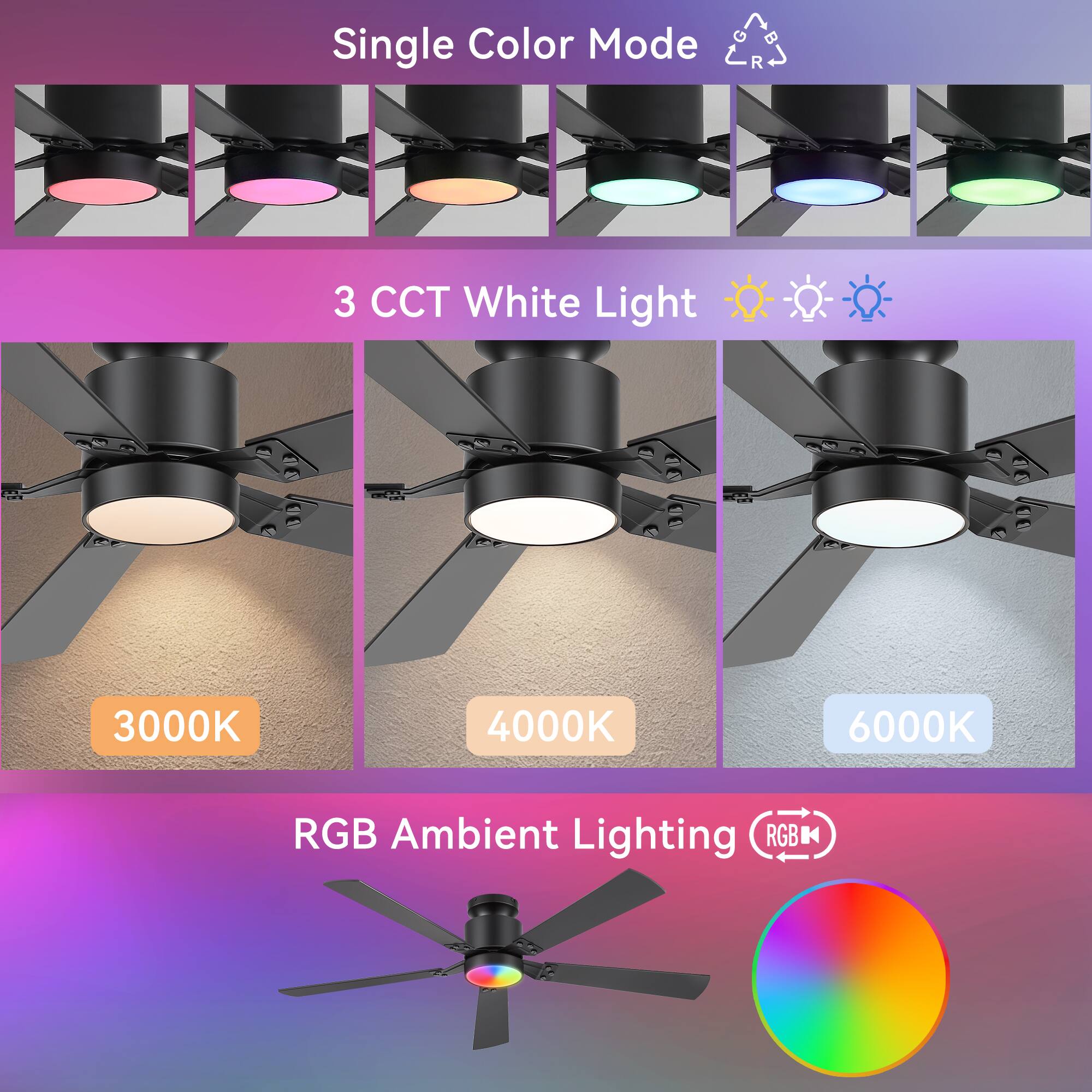Single Color Mode  
3 CCT White Light  
3000K 4000K 6000K  
RGB Ambient Lighting
