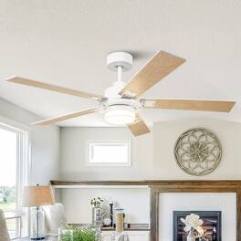 Parrot Uncle - 52" Industrial Metal Caged Ceiling Fan with Light and Remote - White