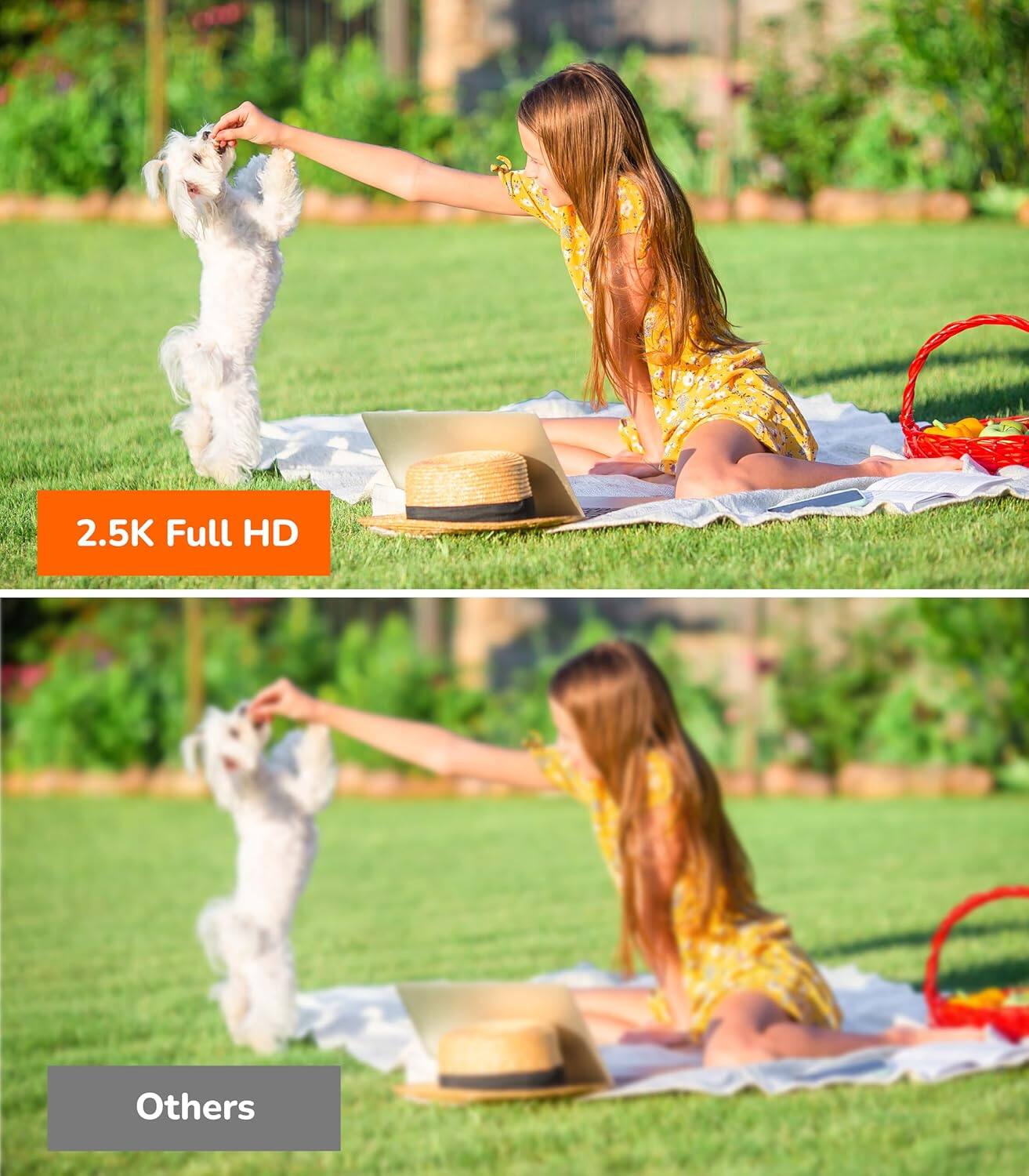 2.5K Full HD  
Others