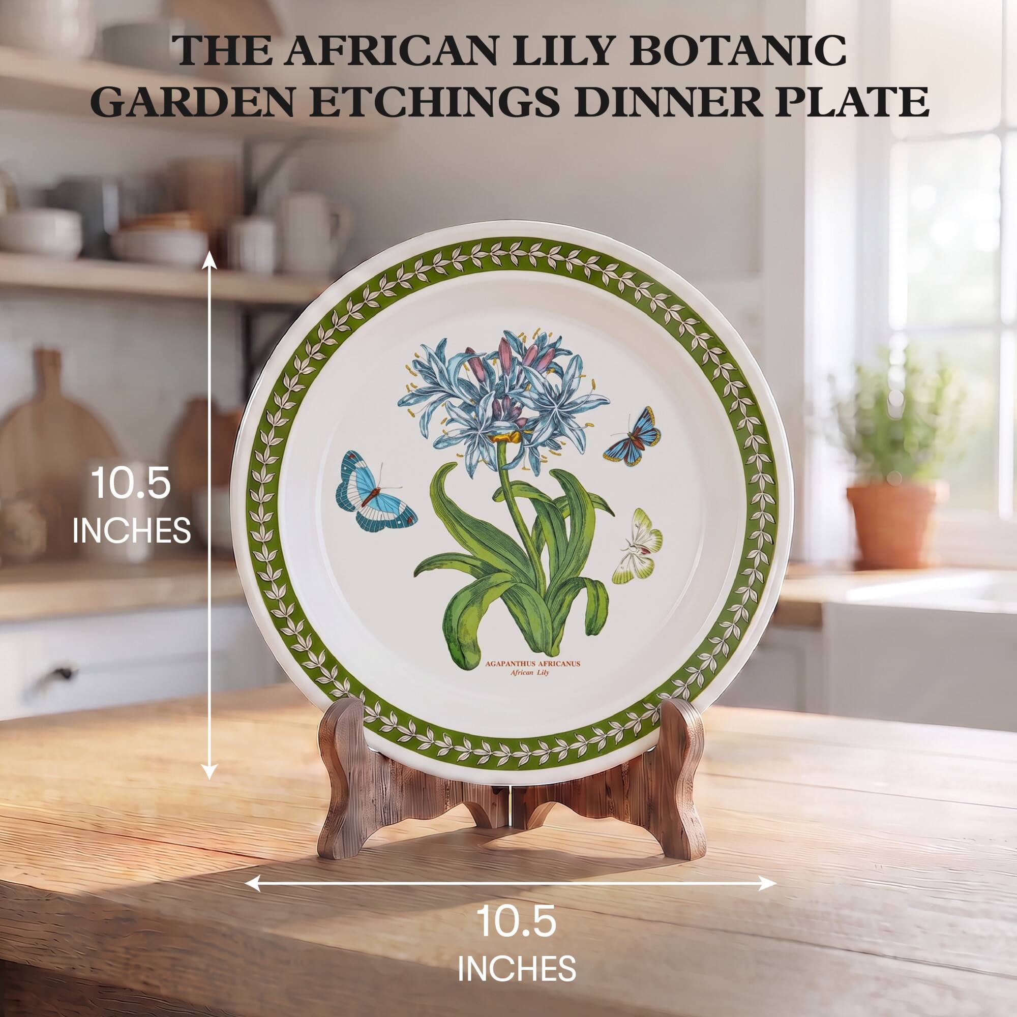 THE AFRICAN LILY BOTANIC GARDEN ETCHINGS DINNER PLATE

10.5 INCHES

AGAPANTHES AFRICANUS African Lily

10.5 INCHES