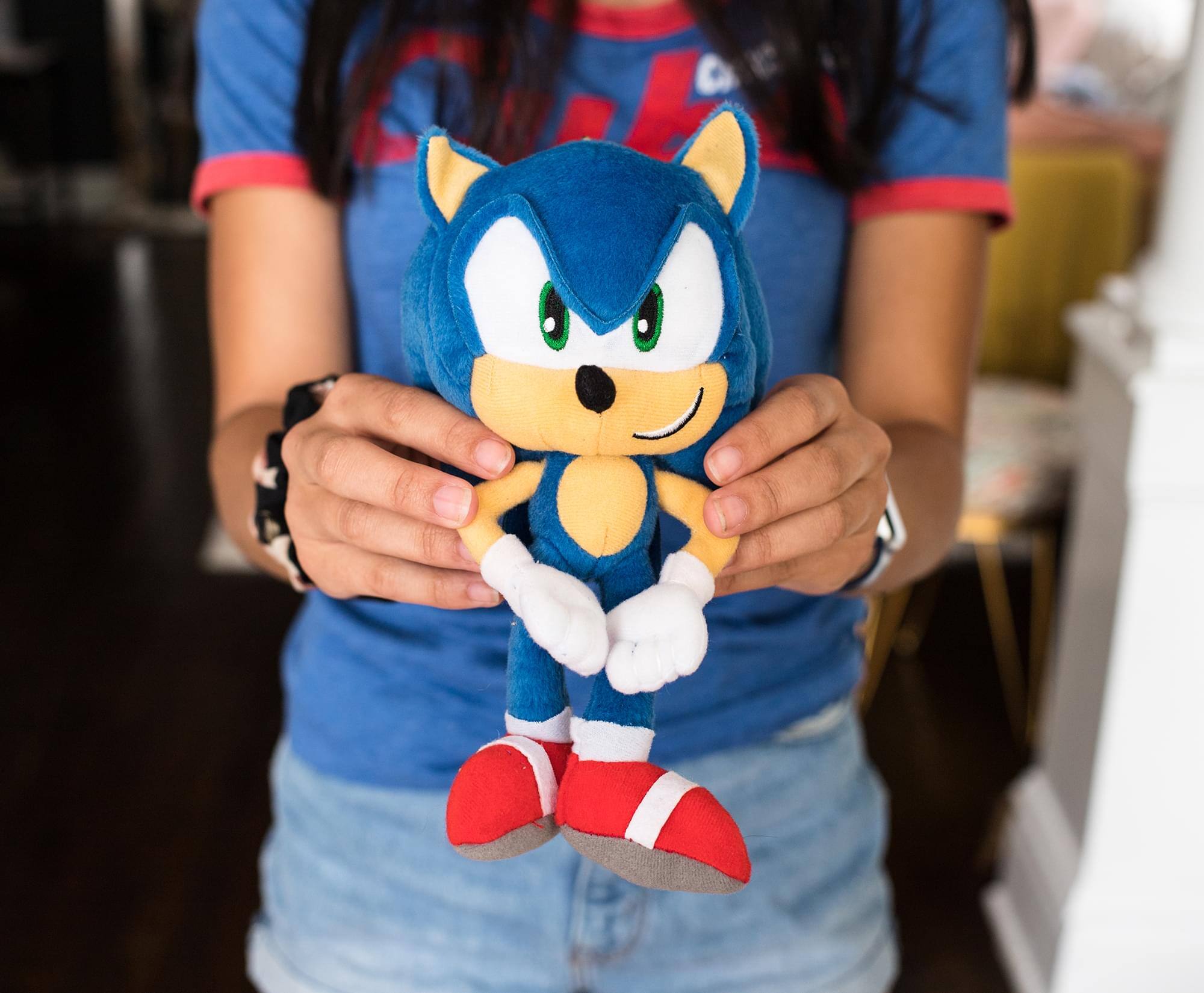Alt View 2. Accessory Innovations Company - Sonic The Hedgehog Collector Plush Toy Clip-On | 8 Inches Tall - Blue.