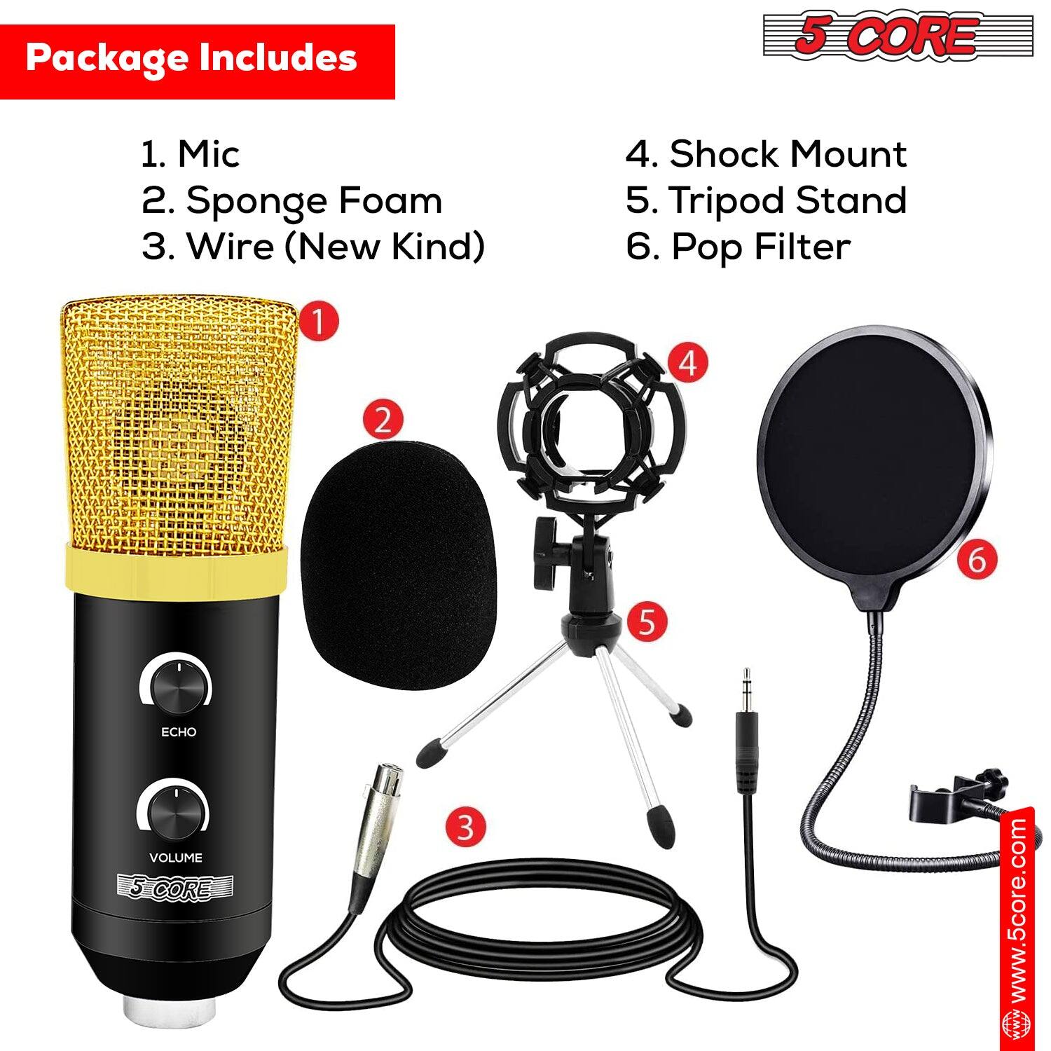 Package Includes

1. Mic  
2. Sponge Foam  
3. Wire (New Kind)  
4. Shock Mount  
5. Tripod Stand  
6. Pop Filter  

ECHO  
VOLUME  

www.5core.com