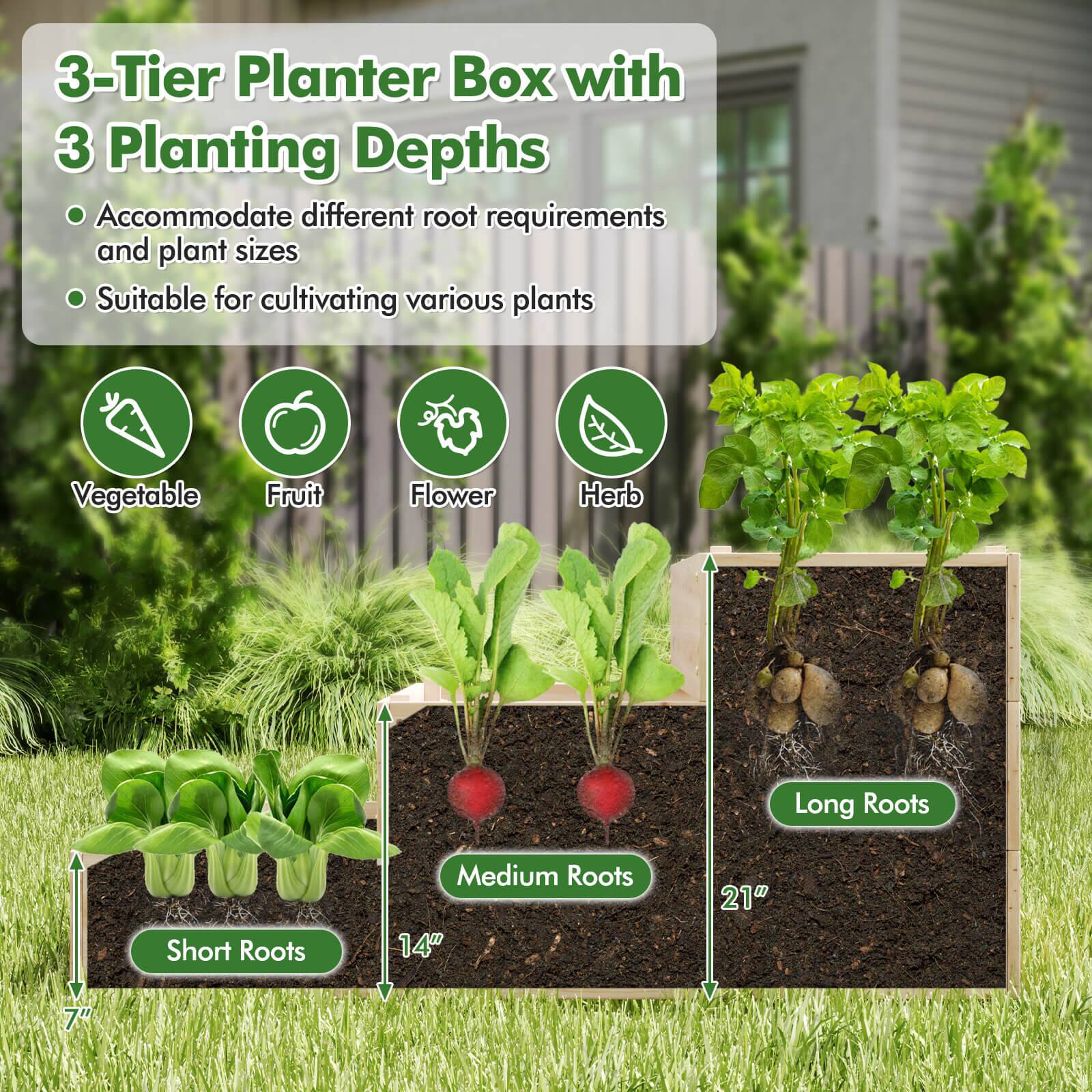 3-Tier Planter Box with 3 Planting Depths

- Accommodate different root requirements and plant sizes
- Suitable for cultivating various plants

Vegetable Fruit Flower Herb

Short Roots 7" 14" Medium Roots 21" Long Roots