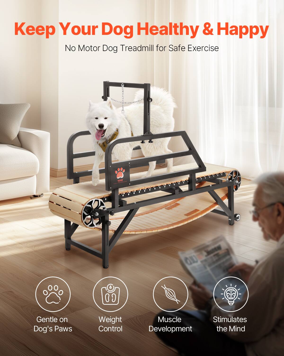 Keep Your Dog Healthy & Happy
No Motor Dog Treadmill for Safe Exercise

Gentle on Dog's Paws
Weight Control
Muscle Development
Stimulates the Mind