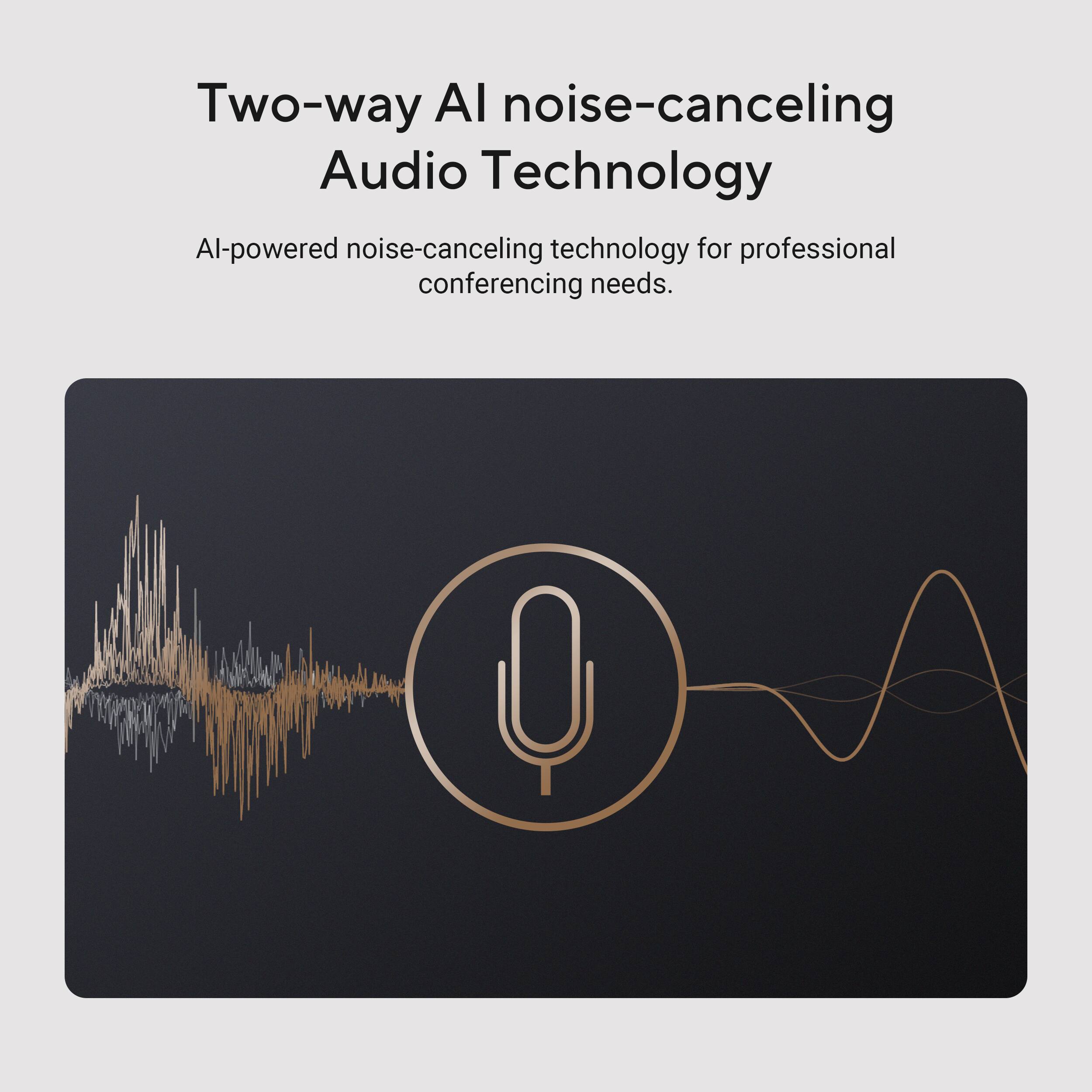 Two-way AI noise-canceling Audio Technology

Al-powered noise-canceling technology for professional conferencing needs.