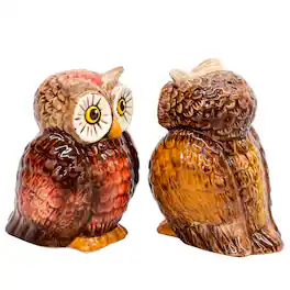 Pacific Trading - Owls Attractives Ceramic Magnetic Salt and Pepper Shaker Set - Brown