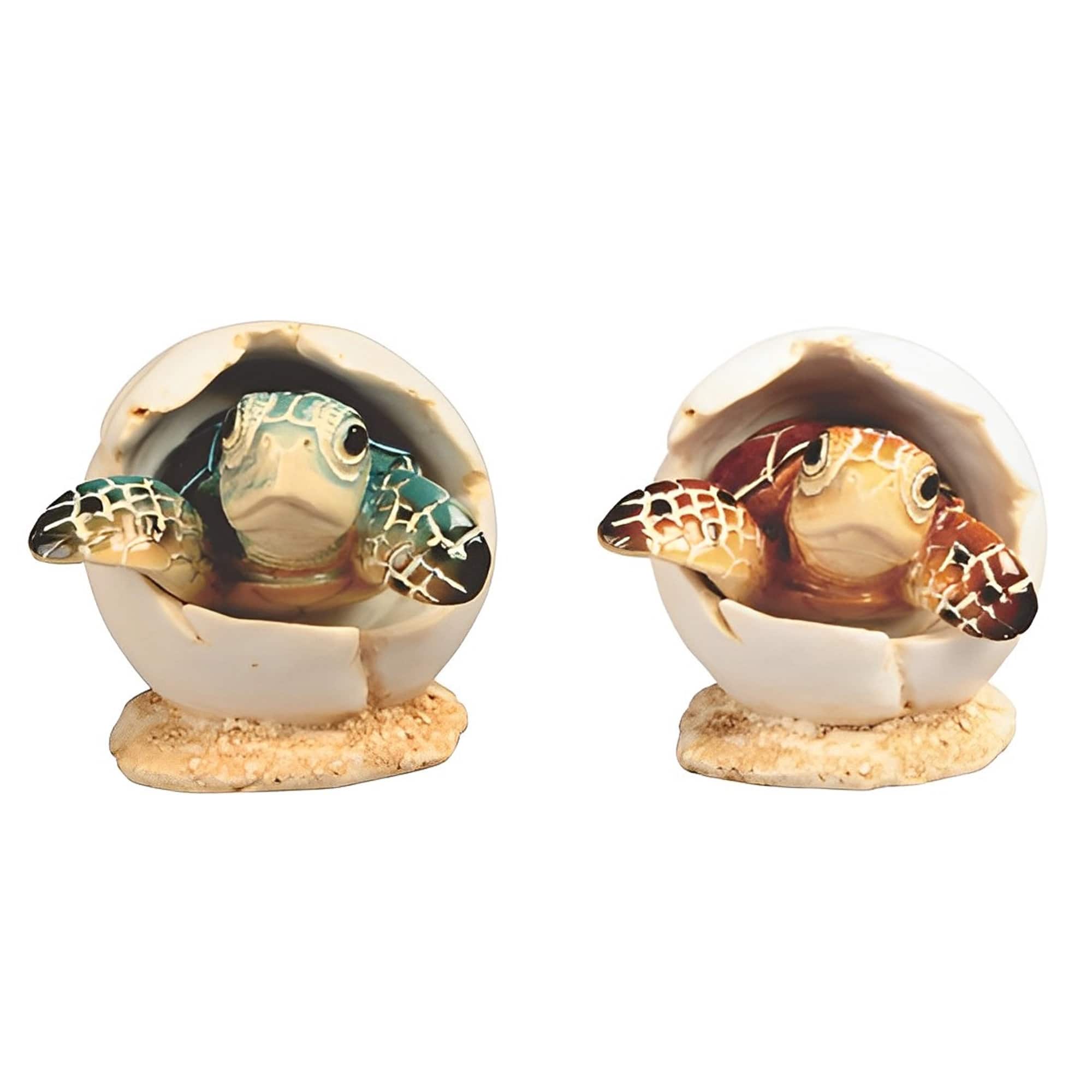FC Design - 3"H Sea Turtle in Egg 2 PC Set Figurine Statue Office Desk Tabletop Home Decor Gift - Multi-Color