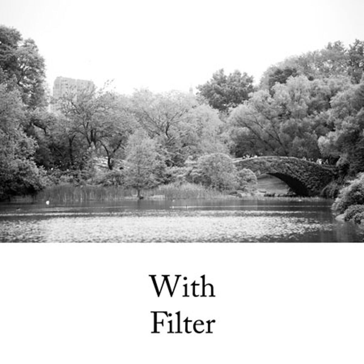 With Filter