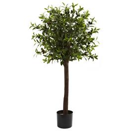 BreeBe - 4' Olive Topiary Tree w/1056 Lvs - Green