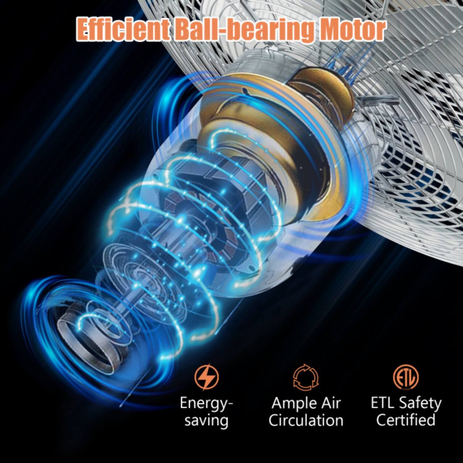 Efficient Ball-bearing Motor

- Energy-saving
- Ample Air Circulation
- ETL Safety Certified